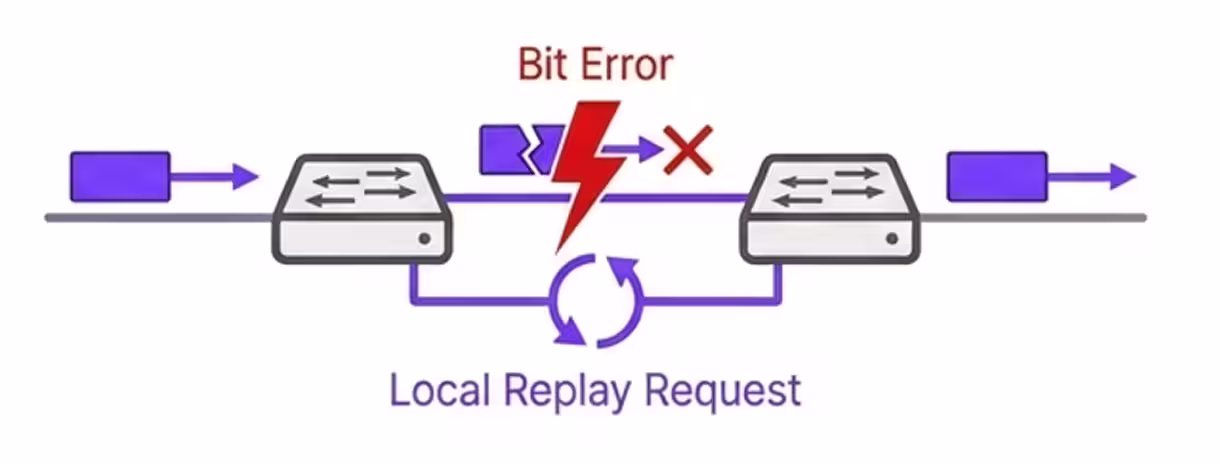 Diagram showing link-level replay